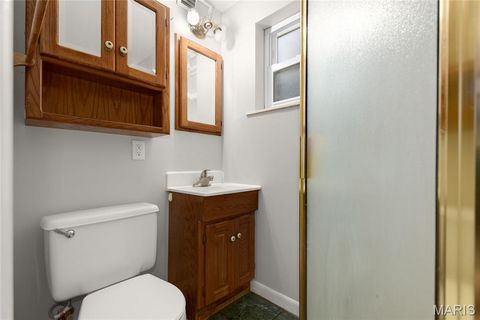 Tiny photo for 1133 N Harrison Avenue, Kirkwood, MO 63122 (MLS # 25056670)