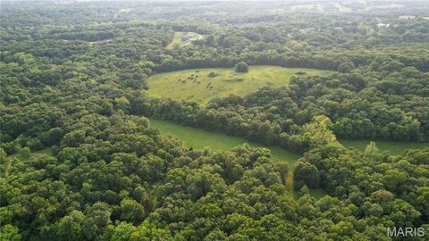Tiny photo for 69 Walnut Grove Drive, Winfield, MO 63389 (MLS # 25036535)