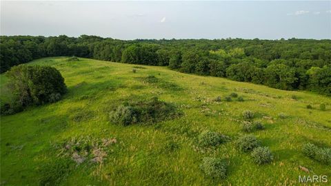 Tiny photo for 69 Walnut Grove Drive, Winfield, MO 63389 (MLS # 25036535)