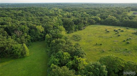 Tiny photo for 69 Walnut Grove Drive, Winfield, MO 63389 (MLS # 25036535)