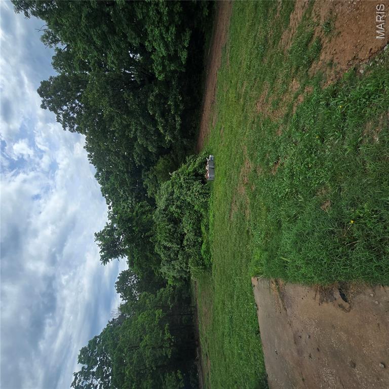 Blackberry Holler - Land