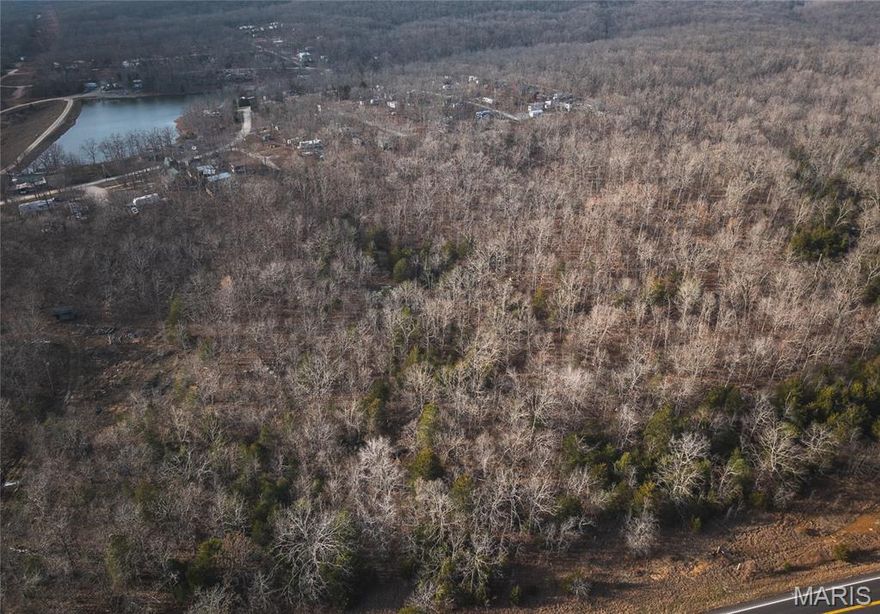 3 + /- acres on hwy 221 in between Ironton mo and Farmington MO. This lot would be perfect to build a house on with no restrictions. It backs to lake Hanna. All the amenities and activities in Farmington. For those that want to see some recreational things to do then there are plenty of opportunities in Ironton. come take a look before it is too late.