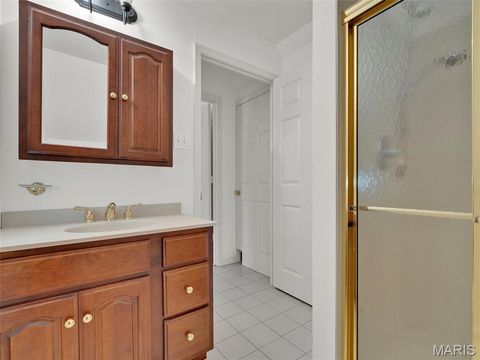 Tiny photo for 156 Gray Avenue, Webster Groves, MO 63119 (MLS # 25009847)