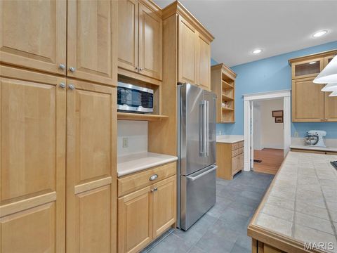 Tiny photo for 156 Gray Avenue, Webster Groves, MO 63119 (MLS # 25009847)
