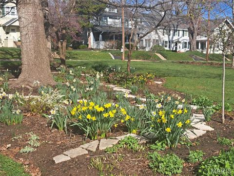 Tiny photo for 156 Gray Avenue, Webster Groves, MO 63119 (MLS # 25009847)