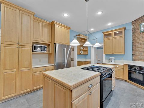 Tiny photo for 156 Gray Avenue, Webster Groves, MO 63119 (MLS # 25009847)