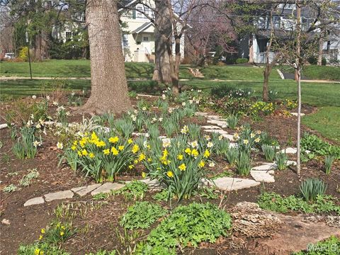 Tiny photo for 156 Gray Avenue, Webster Groves, MO 63119 (MLS # 25009847)