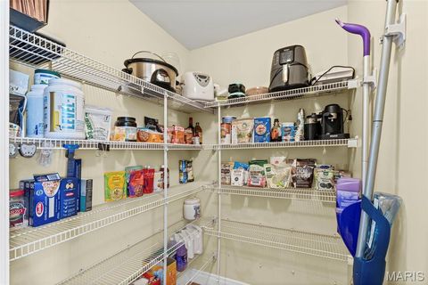 Tiny photo for 417 S Geyer Road #2, Kirkwood, MO 63122 (MLS # 25069381)