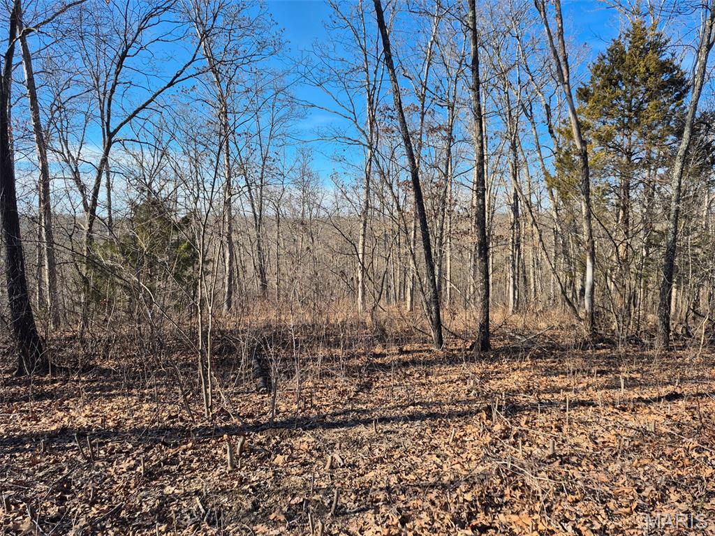 Vineland Farms - Land