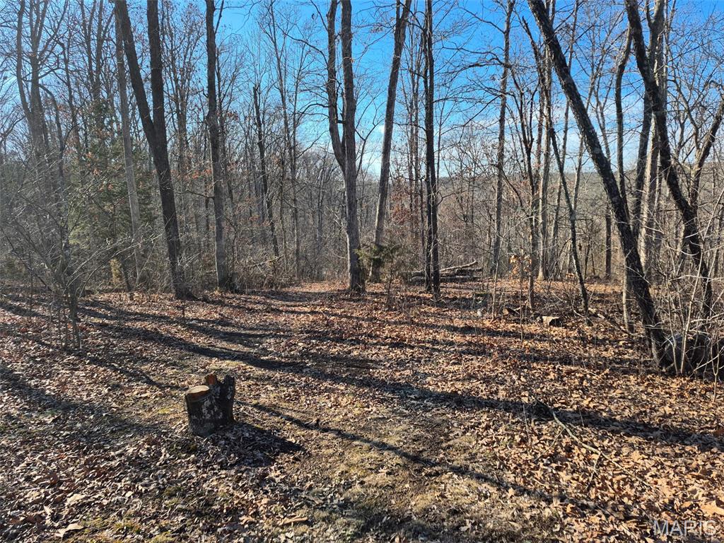 Vineland Farms - Land