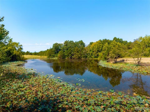 Tiny photo for 6 Acres Roark Acres, New Bloomfield, MO 65063 (MLS # 26058668)