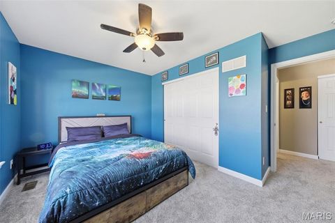 Tiny photo for 225 Schroeder Grove Drive, Wentzville, MO 63385 (MLS # 25070098)