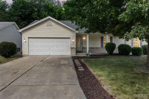 21 Eldorado Drive Moscow Mills MO 63362