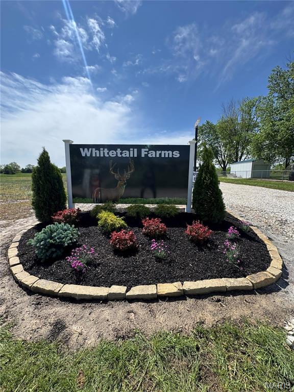 WhiteTail Farms Lot #4 - Land