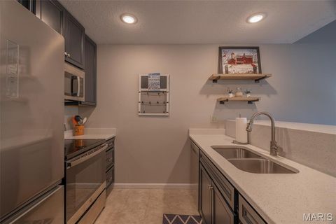 Tiny photo for 124 Geneva Cove Drive, Innsbrook, MO 63390 (MLS # 26022606)