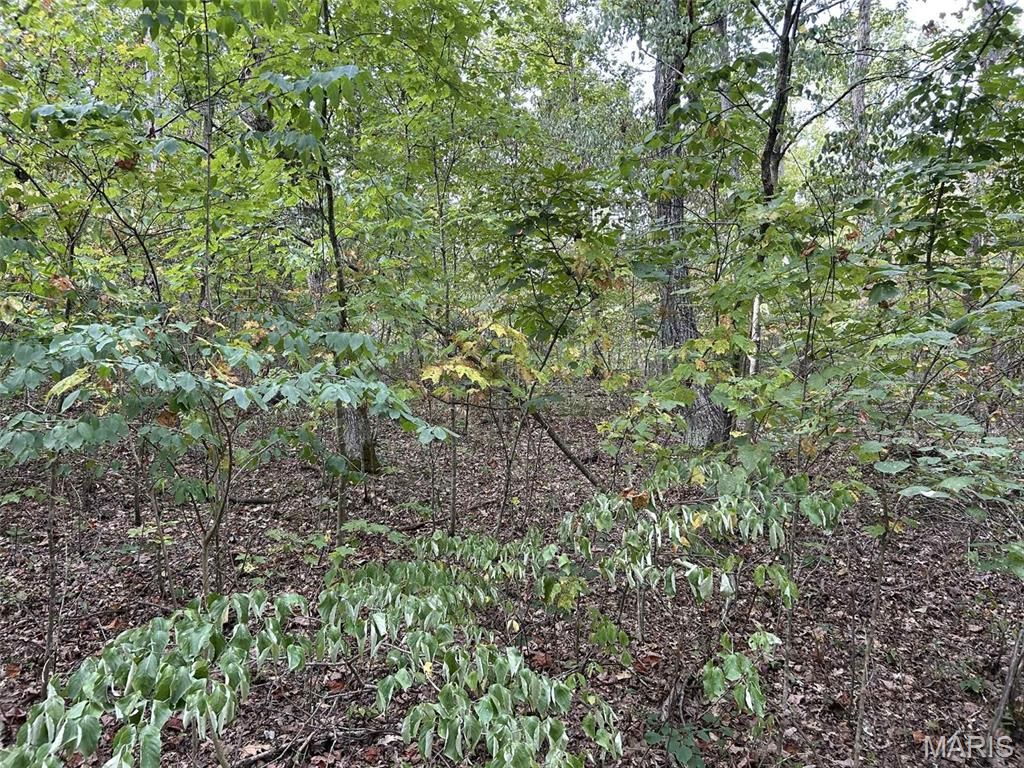 Photo of 358 Thunderbird Hill Drive, St Clair, MO 63077 (MLS # 25073066)