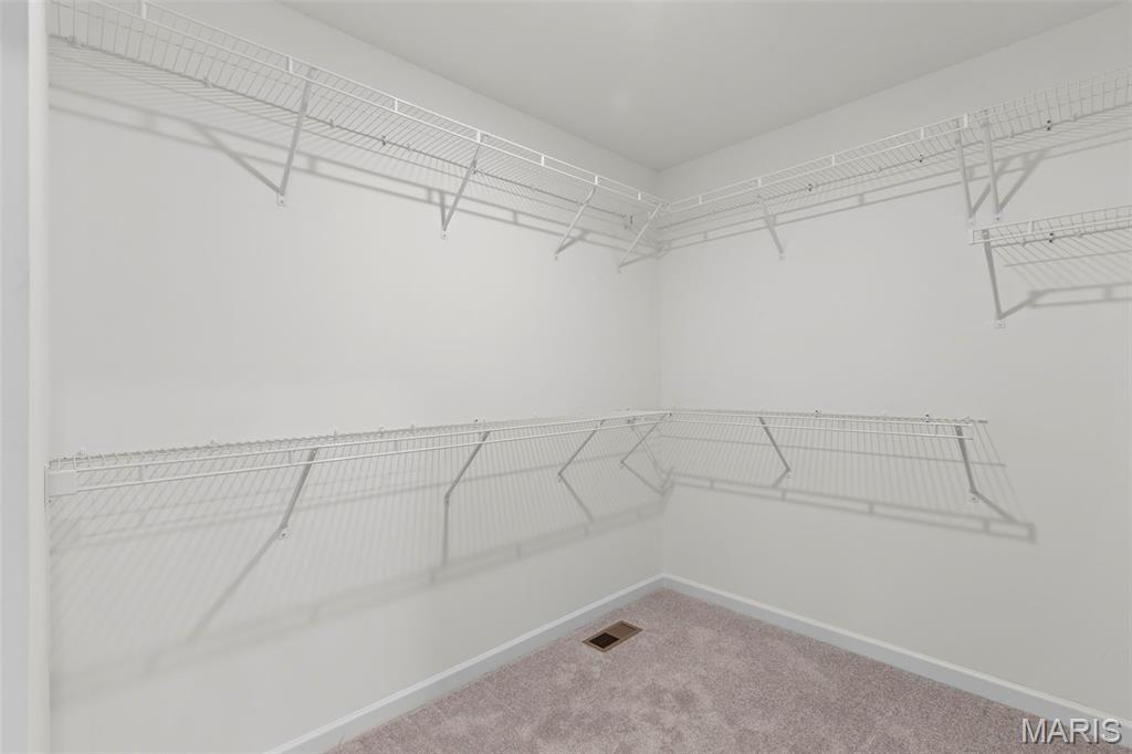 2 Maple Expanded at Langeneckert Farms Estates