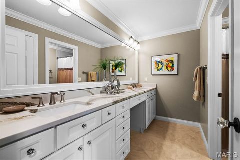 Tiny photo for 1518 Mallard Pointe Court, Chesterfield, MO 63017 (MLS # 26013513)