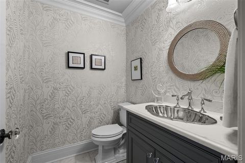 Tiny photo for 1518 Mallard Pointe Court, Chesterfield, MO 63017 (MLS # 26013513)