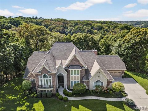 49 Grand Meridien Forest Wildwood MO 63005