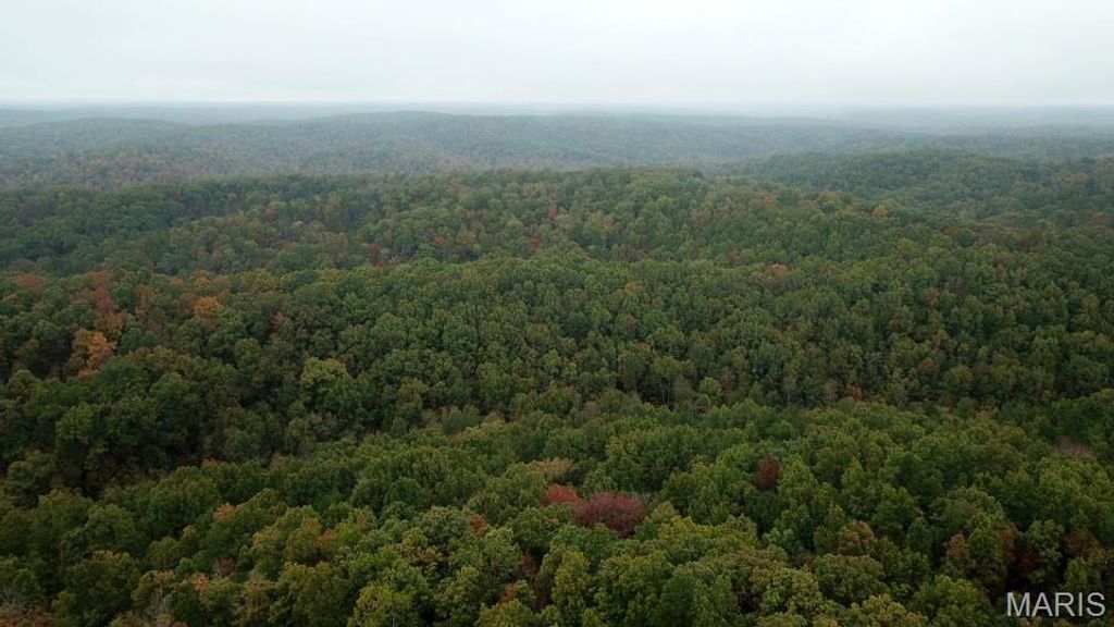 Photo of 00 Forest Road 3123, Williamsville, MO 63967 (MLS # 25073151)