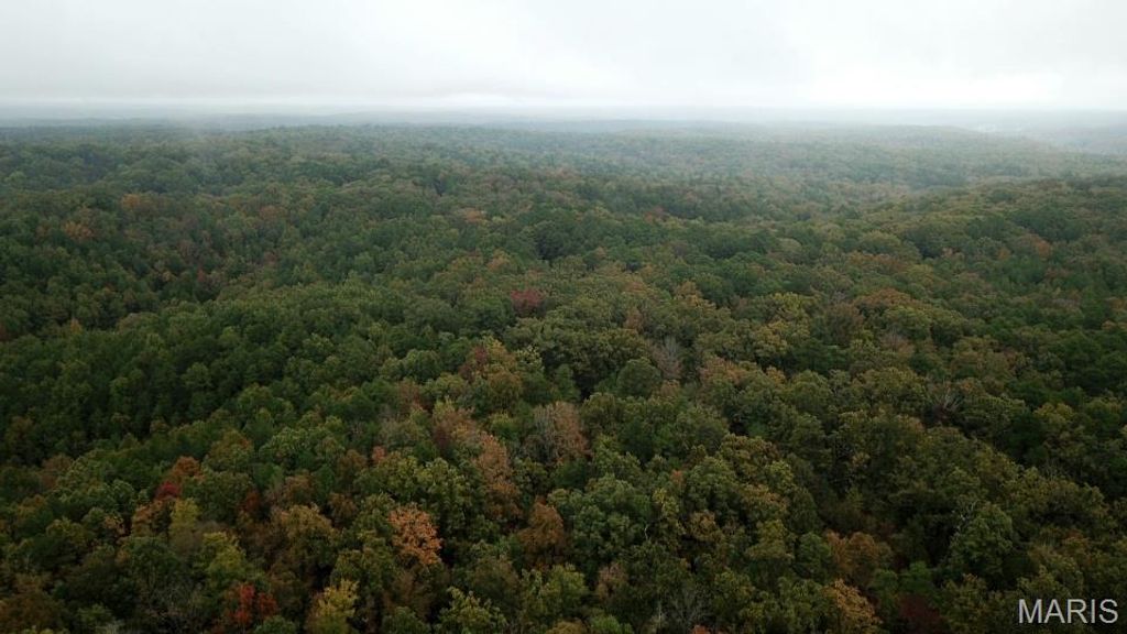 Photo of 00 Forest Road 3123, Williamsville, MO 63967 (MLS # 25073151)