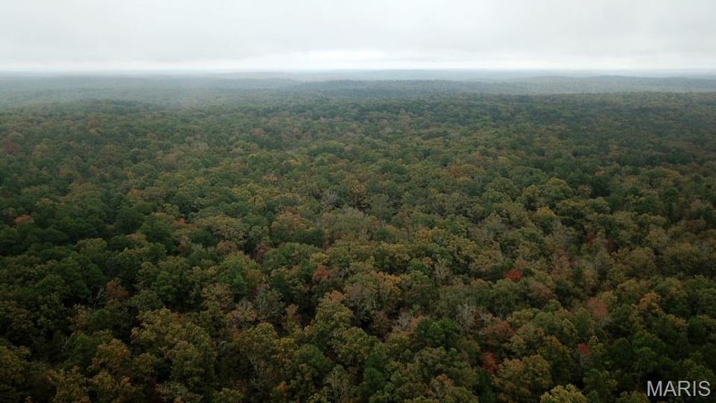 Photo of 00 Forest Road 3123, Williamsville, MO 63967 (MLS # 25073151)