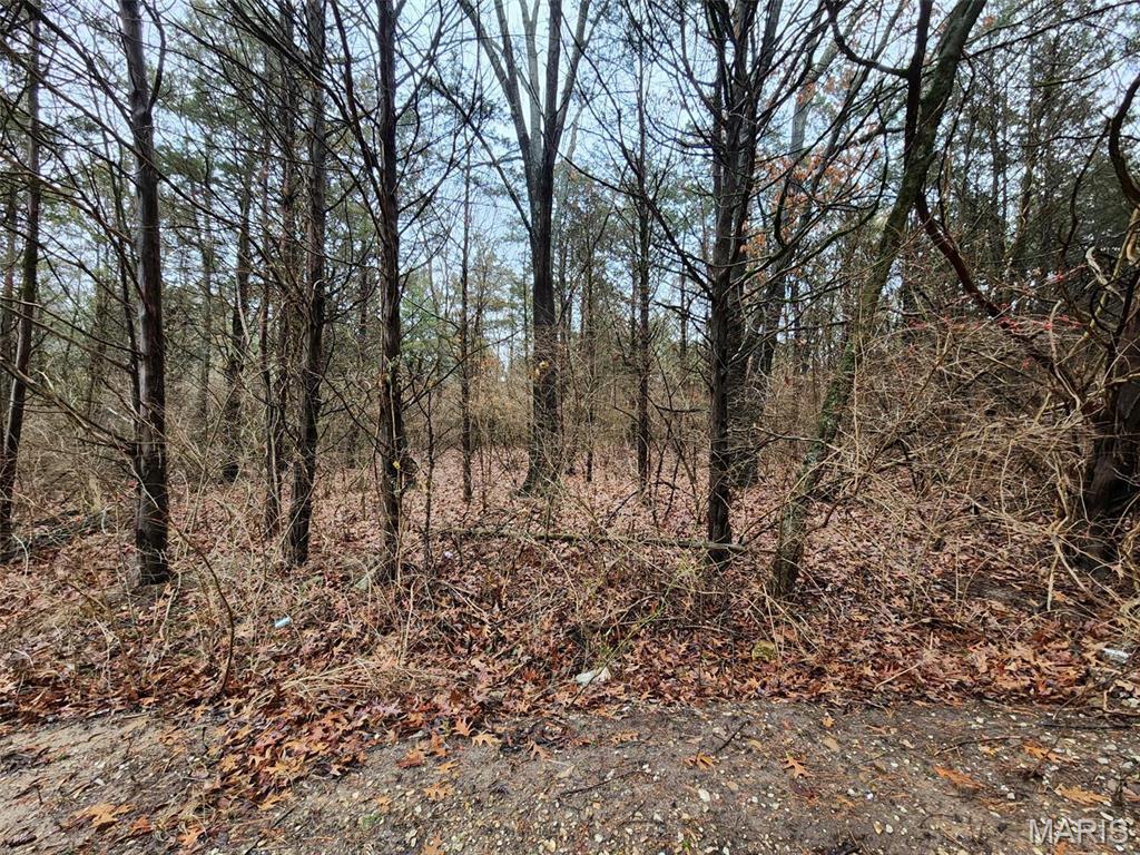 Catawissa, Missouri 63015, United States, ,Land,Active,66130