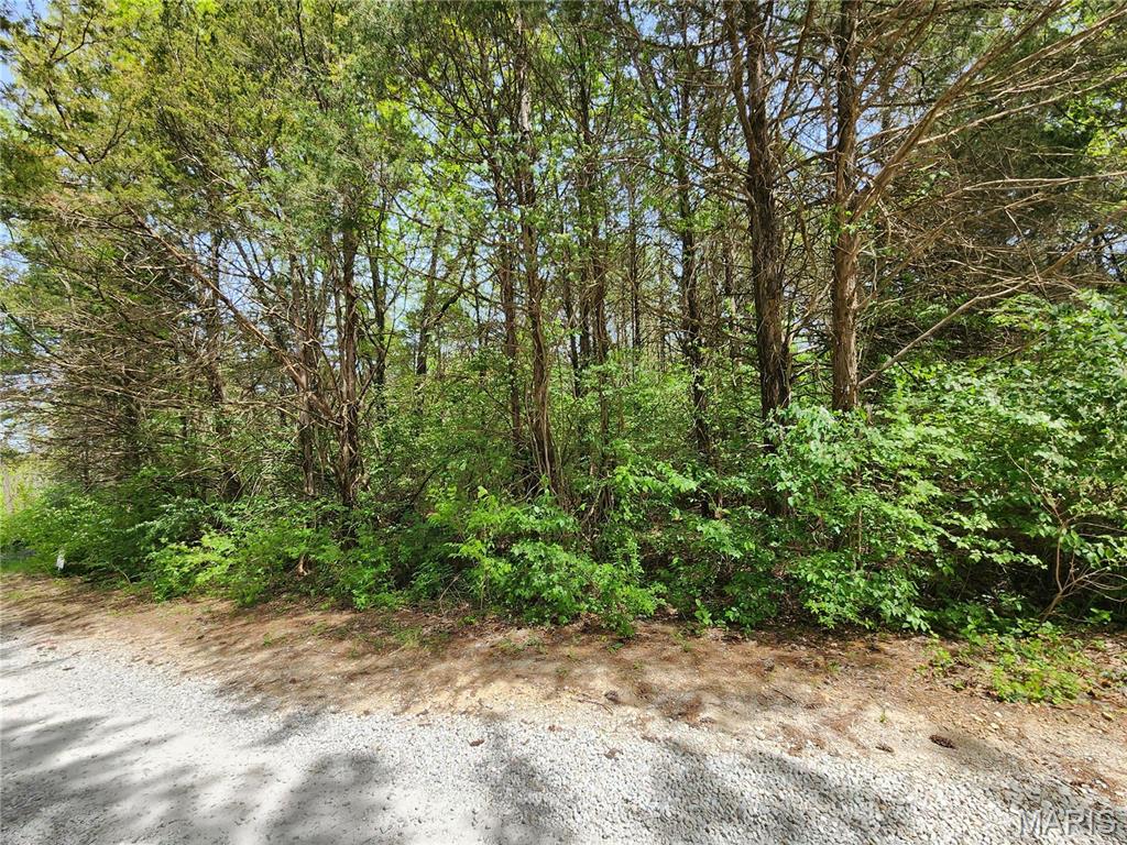 Catawissa, Missouri 63015, United States, ,Land,Active,66130