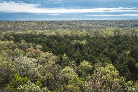 Photo of 4 Cleavesville Road, Bland, MO 65014 (MLS # 26029630)