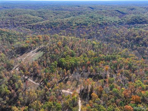 Photo of 0 Floyd Tower Road, Potosi, MO 63664 (MLS # 25074671)