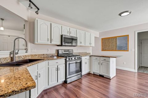 Tiny photo for 909 W Medalist Court, Wentzville, MO 63385 (MLS # 26012127)