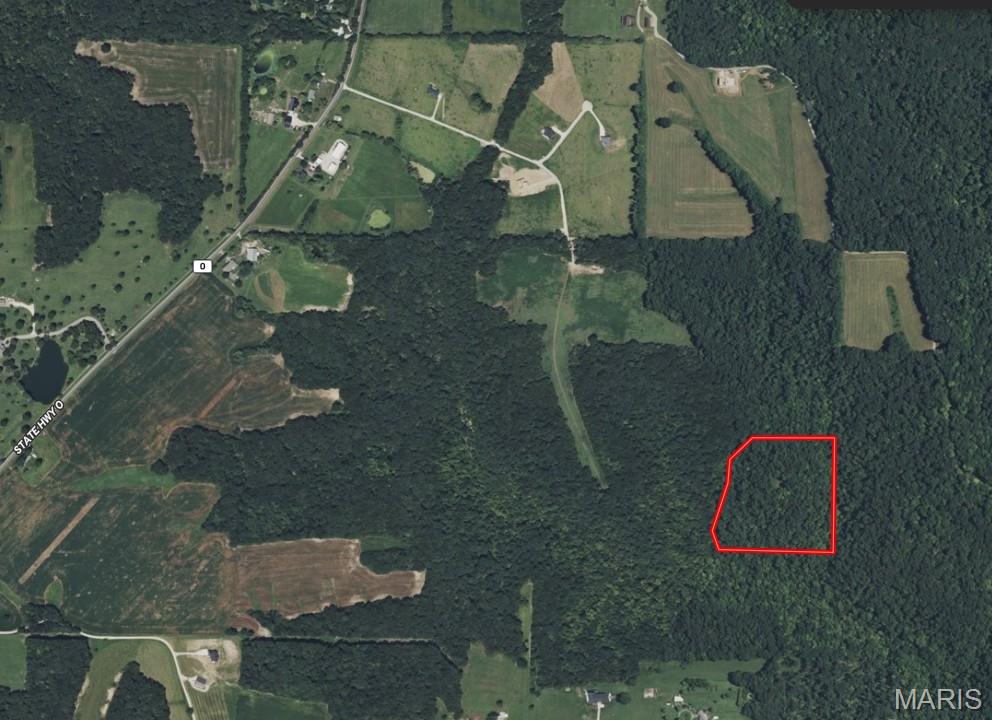 Springview Farms - Farm