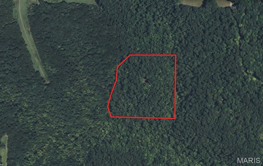 Springview Farms - Farm