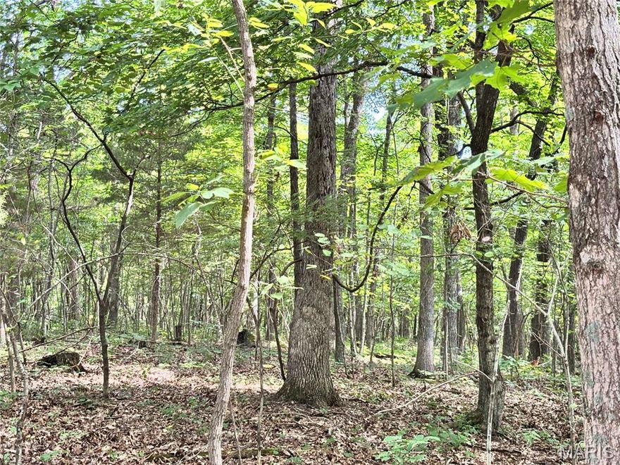 FORISTELL EXIT...12.43 WOODED ACRES, lays great with nice pond site in Springview Farms! With many mature trees you have great privacy options all around. Located between Foristell and Marthasville, the location is perfect for those looking to get away from the hustle and bustle of city yet not too far from civilization for shopping, dining and wineries. Protective covenants and restrictions in place to preserve the property values and natural harmony of the area. Easy drive to Wentzville, Marthasville or Washington. Agent Owned