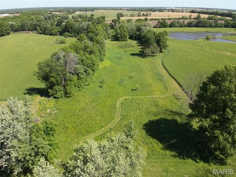 Tiny photo for 00 E Main Street, Perry, MO 63462 (MLS # 26031094)