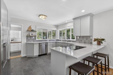 Tiny photo for 415 Larkhill Court, Webster Groves, MO 63119 (MLS # 26030157)