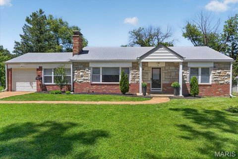 Photo of 415 Larkhill Court, Webster Groves, MO 63119 (MLS # 26030157)