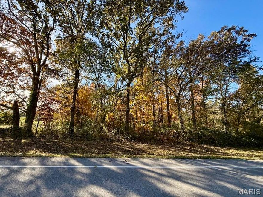 Rare opportunity to own 41 acres inside city limits of Houston, Missouri. Located in a residential area, yet minutes from shopping, restaurants and medical corridor of town. Zones residential, this wooded acreage would make an amazing private oasis for building your dream home or to subdivide. Minutes to a a public access on the Piney River, 45 minutes to Rolla, 90 minutes to Springfield and 2 1/2 hours to St. Louis.