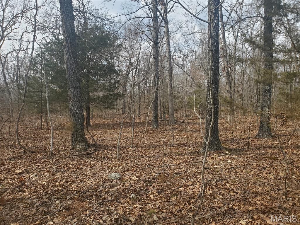 Photo of 0 S Highway 17, Laquey, MO 65534 (MLS # 26031682)