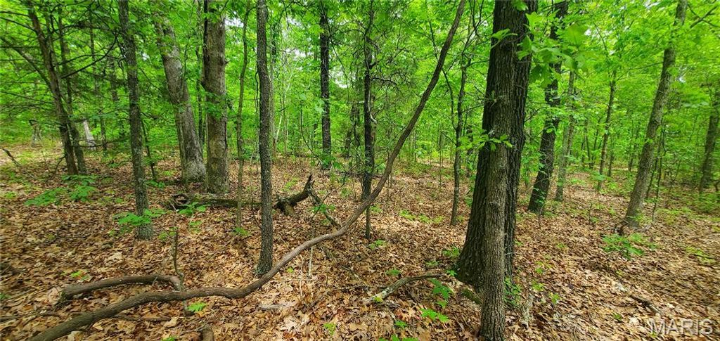 Photo of 0 S Highway 17, Laquey, MO 65534 (MLS # 26031682)