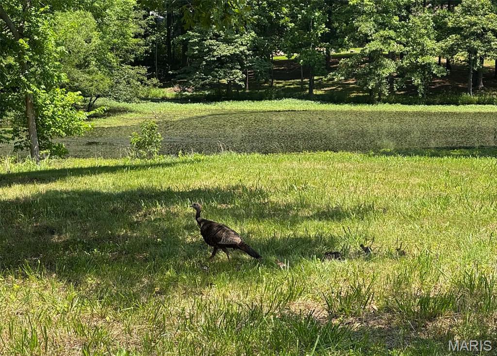 12881 State Route 154