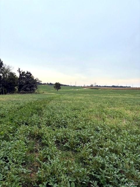Tiny photo for 80 Dream Hollow Road, Troy, MO 63379 (MLS # 25064948)