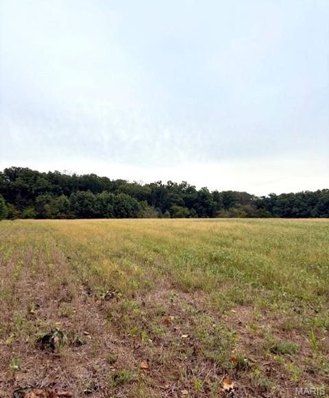 Tiny photo for 80 Dream Hollow Road, Troy, MO 63379 (MLS # 25064948)