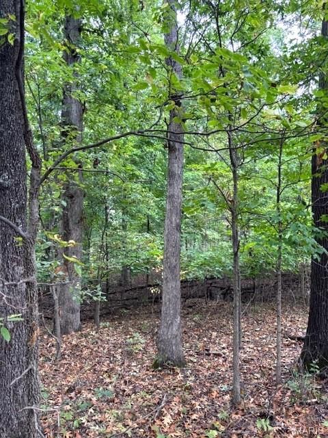 Tiny photo for 80 Dream Hollow Road, Troy, MO 63379 (MLS # 25064948)