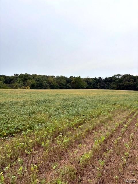 Tiny photo for 80 Dream Hollow Road, Troy, MO 63379 (MLS # 25064948)