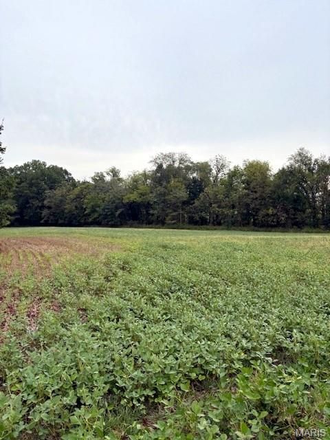 Tiny photo for 80 Dream Hollow Road, Troy, MO 63379 (MLS # 25064948)
