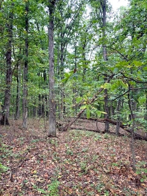 Tiny photo for 80 Dream Hollow Road, Troy, MO 63379 (MLS # 25064948)