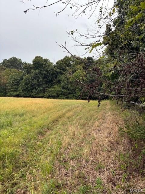 Tiny photo for 80 Dream Hollow Road, Troy, MO 63379 (MLS # 25064948)