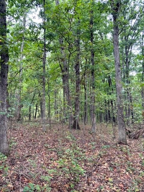 Tiny photo for 80 Dream Hollow Road, Troy, MO 63379 (MLS # 25064948)
